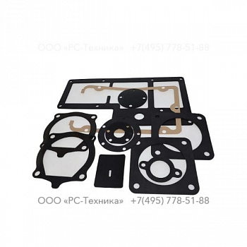 4810008717 GASKET SETS KIT W.D. SIMPLE 4D