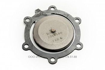 4810009026 CHECK VALVE ASSEMBLY