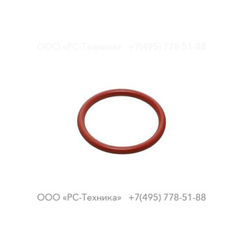 4810060601 OIL FILLING GASKET