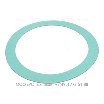 4810043058 GASKET