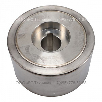 4810078879 INTERNAL MAGNET