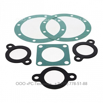 4810014098 GASKET SETS J 50 G+V / TWF