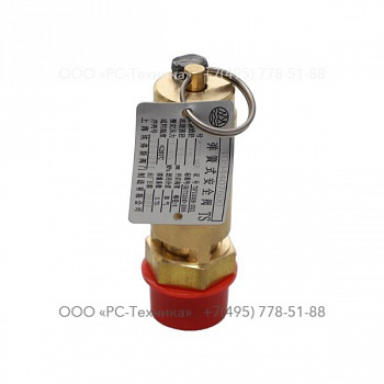 1094407600 SAFETY VALVE GB CH