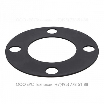4810025734 GASKET