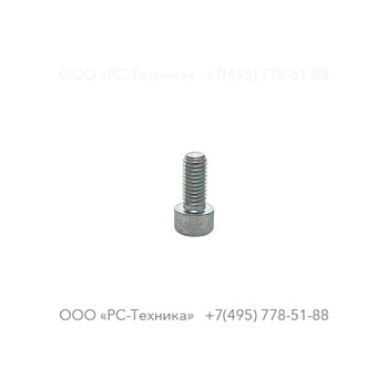 4810001894 SCREW