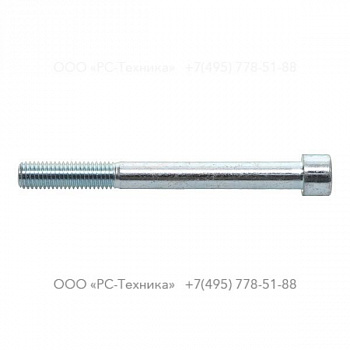 0211196492 HEX. SOCK M12X120X8.8