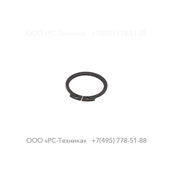 4810060117 SEEGER RING