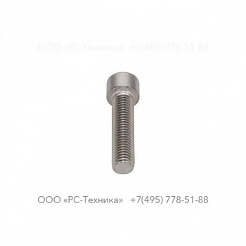 4810069457 SCREW