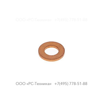 4810019517 RETAINING WASHER