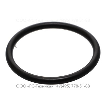 0663211413 O-ring