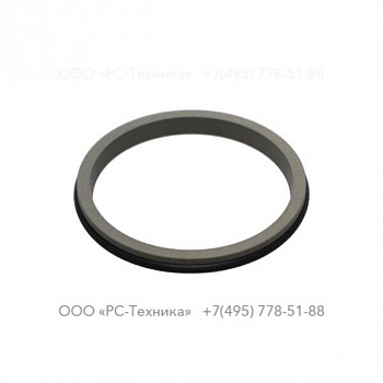 3376100021 ROD WIPER 45