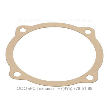 4810005541 PAPER GASKET