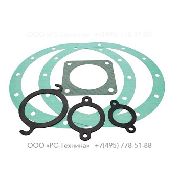 4810014423 GASKET SETS J 4-316 TWG