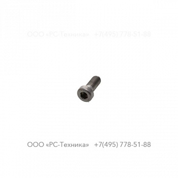 4810077177 SCREW