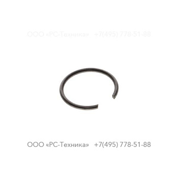 3310087100 LOCKING RING