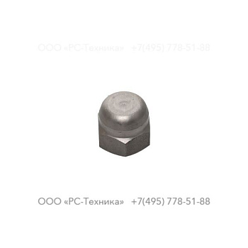 4810006929 NUT M18X1,5 DOME K