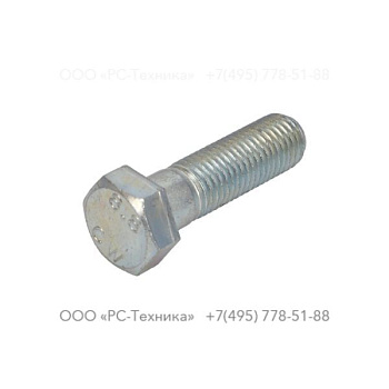 4810001995 SCREW