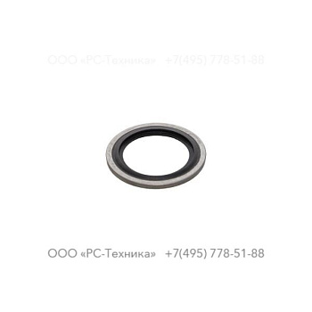 4810064980 SEALING RING