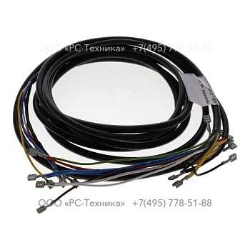 1604645300 WIRE HARNESS
