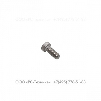 4810079506 SCREW
