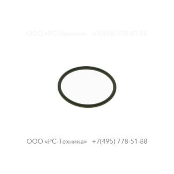 0663210385 O-RING