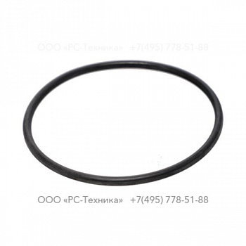 r049854 O-RING (-139)