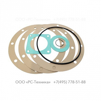 4810068832 SET OF GASKET - PUMP, PAC H43