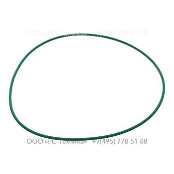 0663210319 O-RING