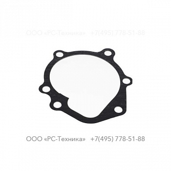 4810075047 COOL.PUMP GASKET