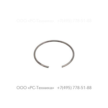 4810004119 MECHANICAL SEAL RETAINING RING