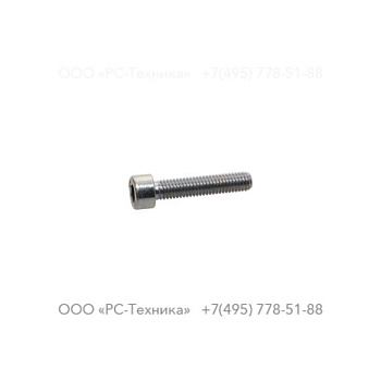 0211125003 HEX. SOCK M6X30X8.8