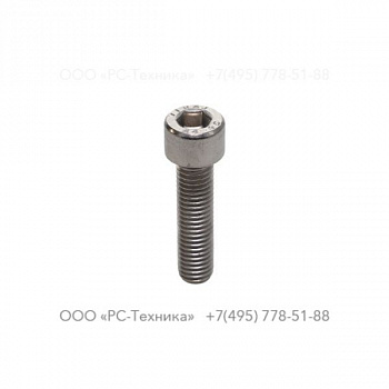 4810053419 SCREW