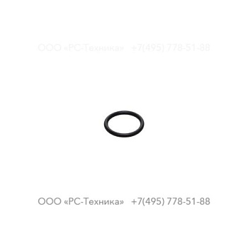 0663210421 O-RING