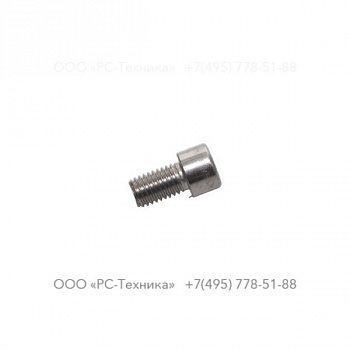 4810001912 SCREW
