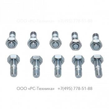 4810014042 SET OF SCREWS - PUMP