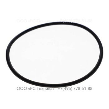 0663613901 O-ring