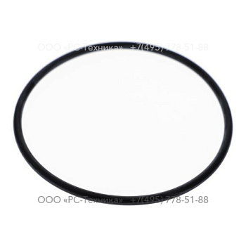 0663613800 O-RING 69.5X3