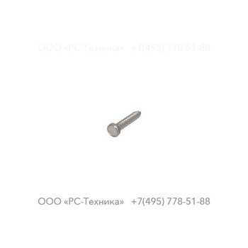 4810054619 SCREW