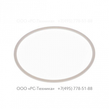 1607856904 O-RING 2-031 PTFE
