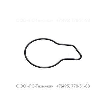 4810075037 FUEL PUMP O-RING