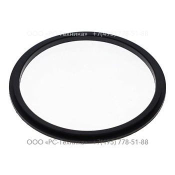 1605242250 SEALING RING