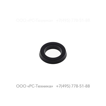 4810058002 INTERNAL RING
