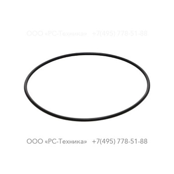 4810053881 O-Ring