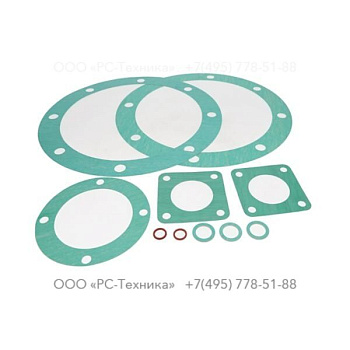 4810014967 SET OF GASKETS V100-2 G