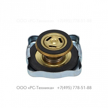4810076336 RADIATOR CAP