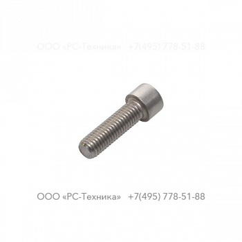 4810001915 SCREW