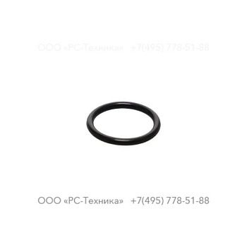 4810067616 O-RING