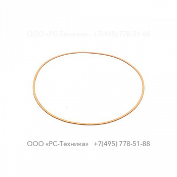 0653437000 FLAT GASKET