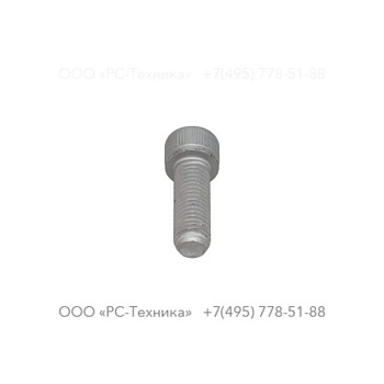 0211196410 SCREW