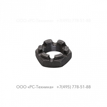 1619016400 CASTLED NUT